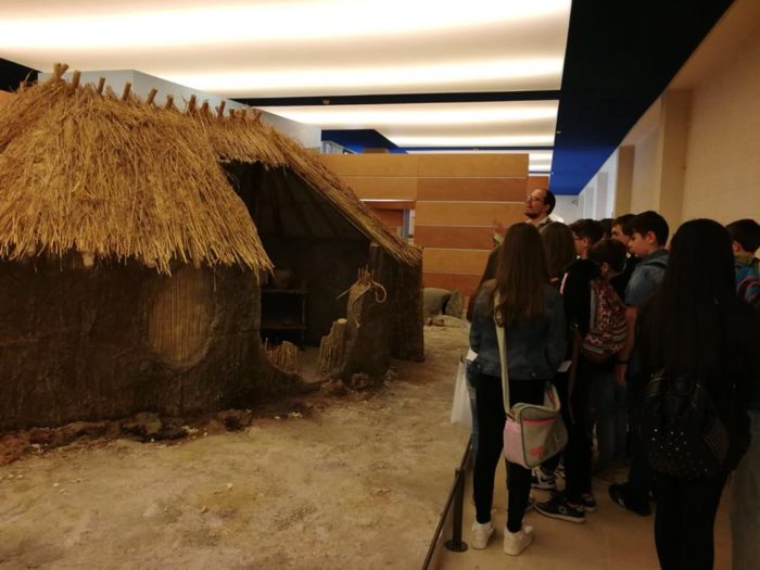 Alla scoperta del Museo Ridola